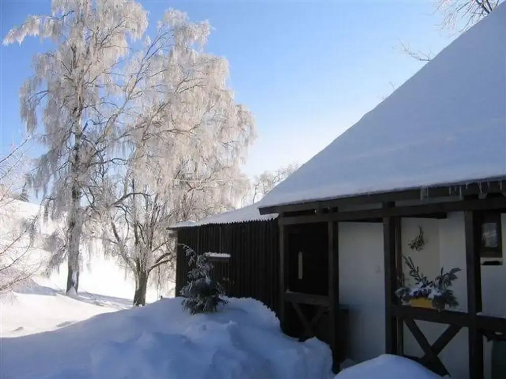 Apartment Marie in J Chymov