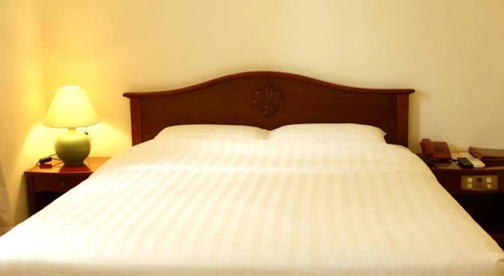 Tan Son Nhat Hotel - Général