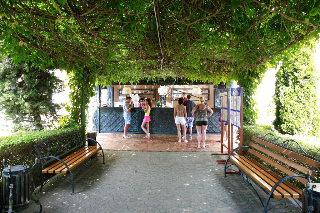 Hotel Alba - All Inclusive - Général
