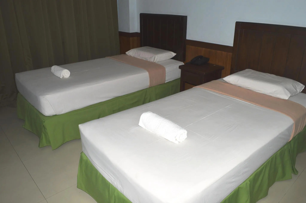 Standard Double room (twin beds)