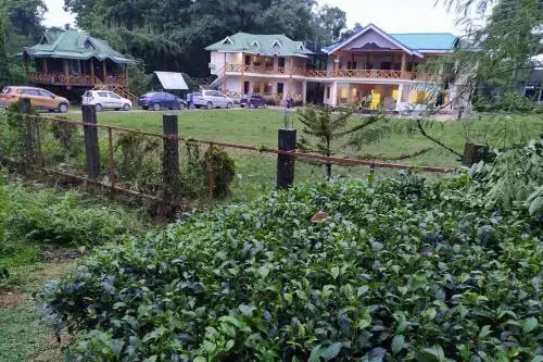 Homocation Kadambini Jungle Resort
