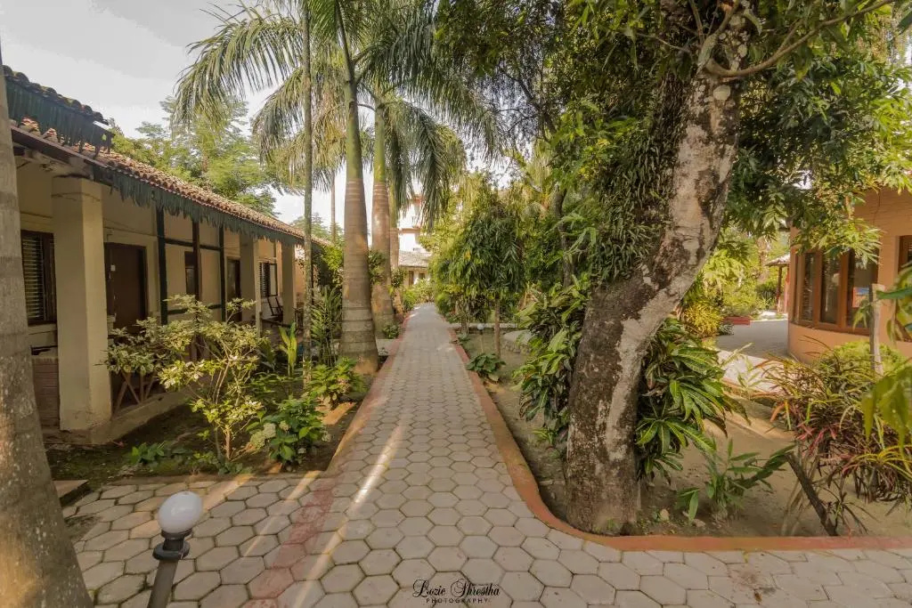Eden Jungle Resort - Chambres