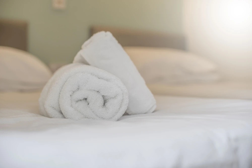 Trewern Arms Hotel - Chambres