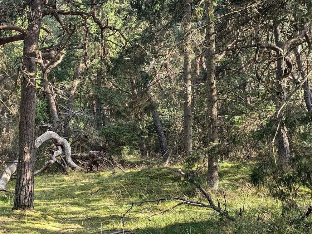 5 Star Holiday Home in Frederiksvaerk