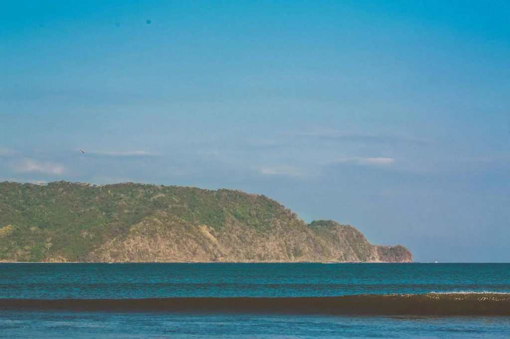 Tambor Tropical - Adults Only - фото 23