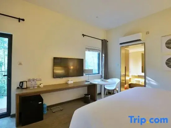 Standard Double room with courtyard view (full double bed)