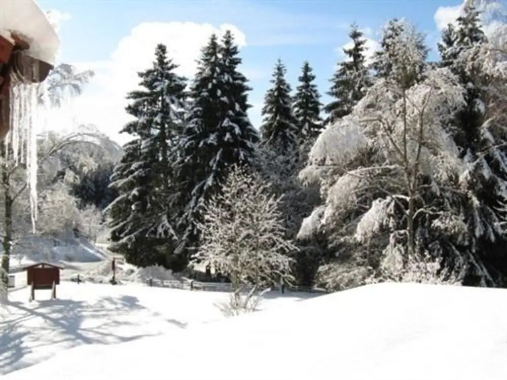 Hotel Zum Forsthaus - Général