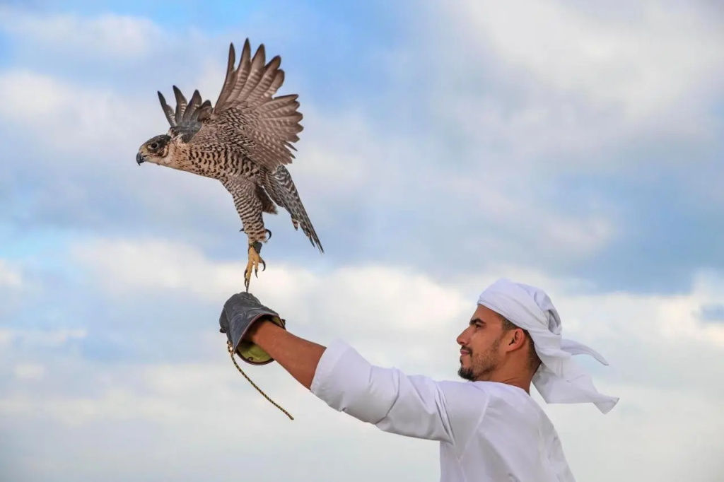 Anantara Sir Bani Yas Island Al Yamm Villa Resort - Général