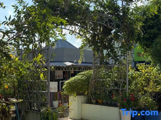 Mohachey Guesthouse