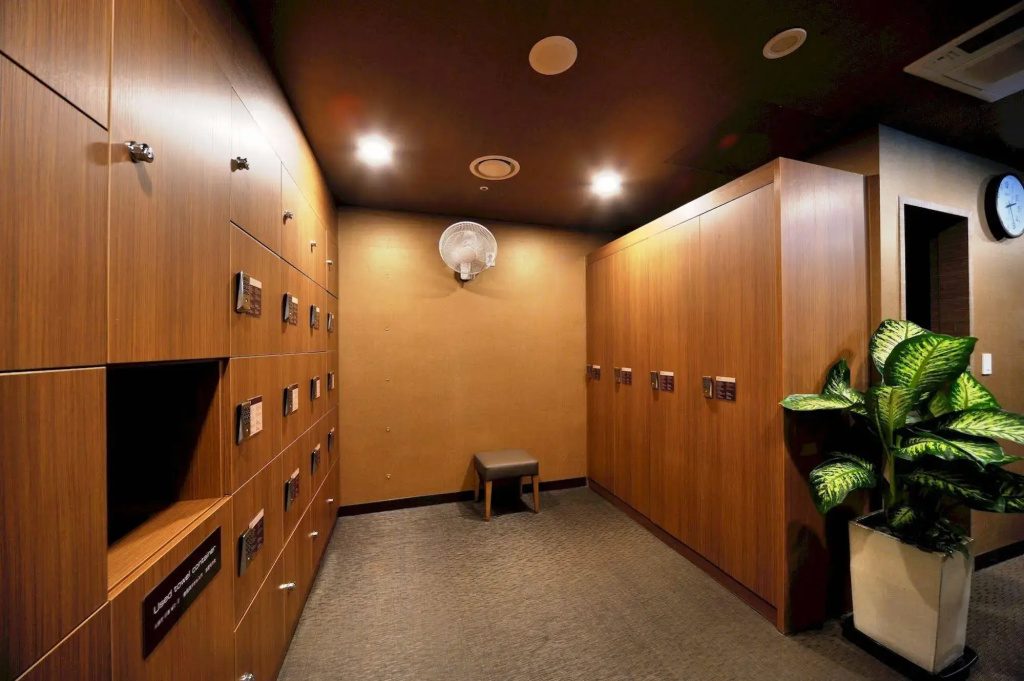 Dormy Inn Premium Seoul Garosugil - Général
