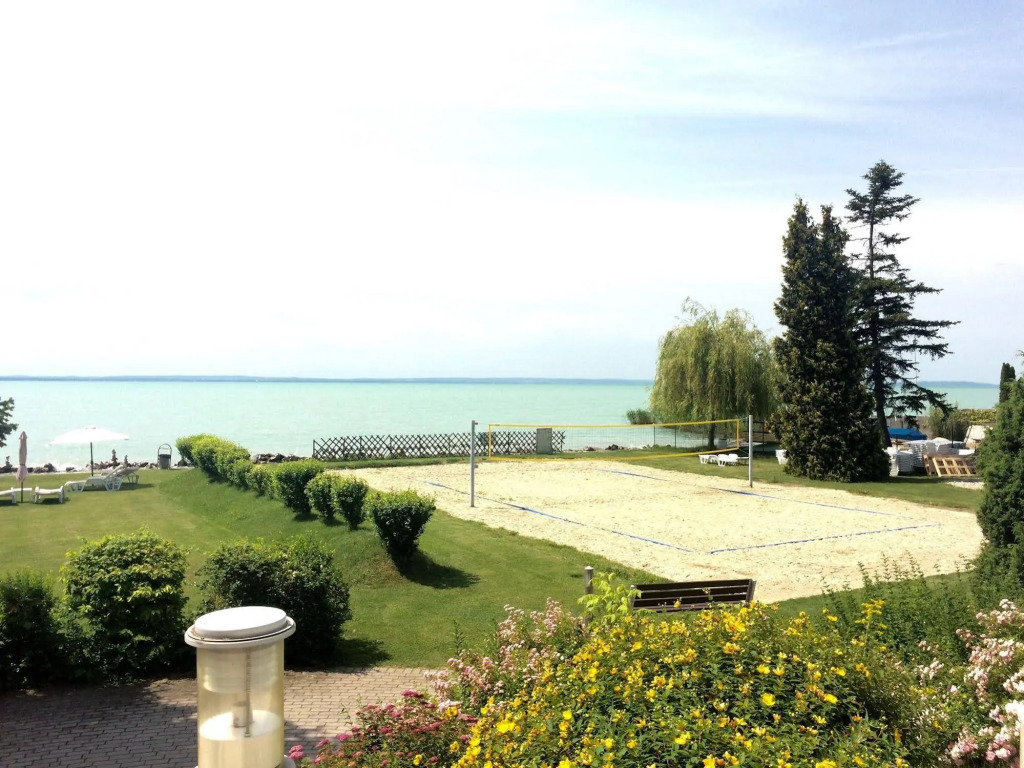 Image 11