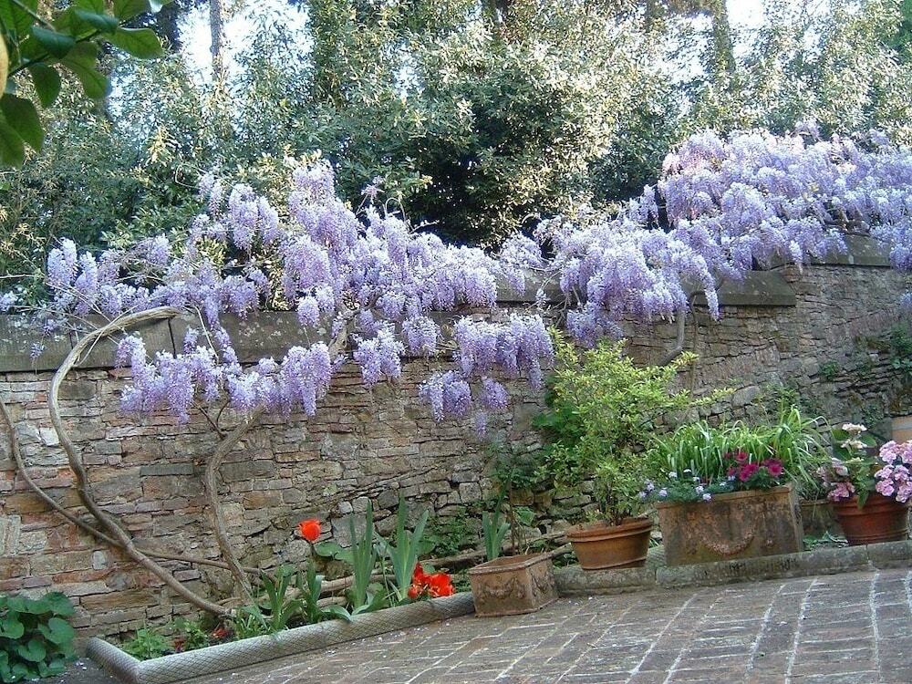 Image 15