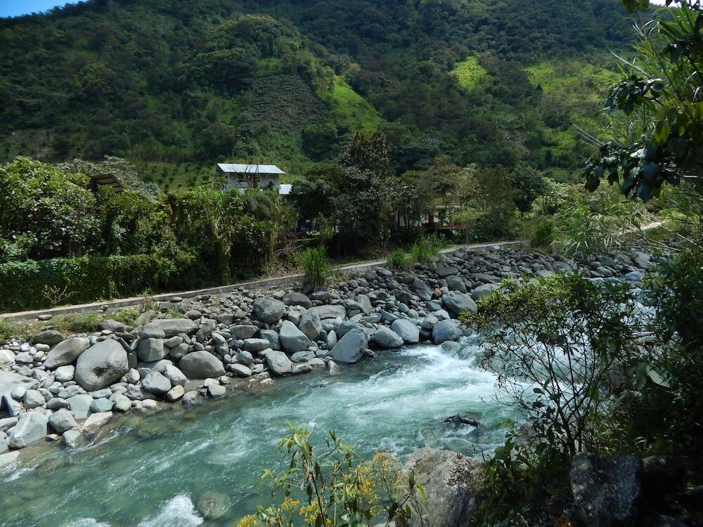 Отель Dogs and Fish Dream Land, фото 16