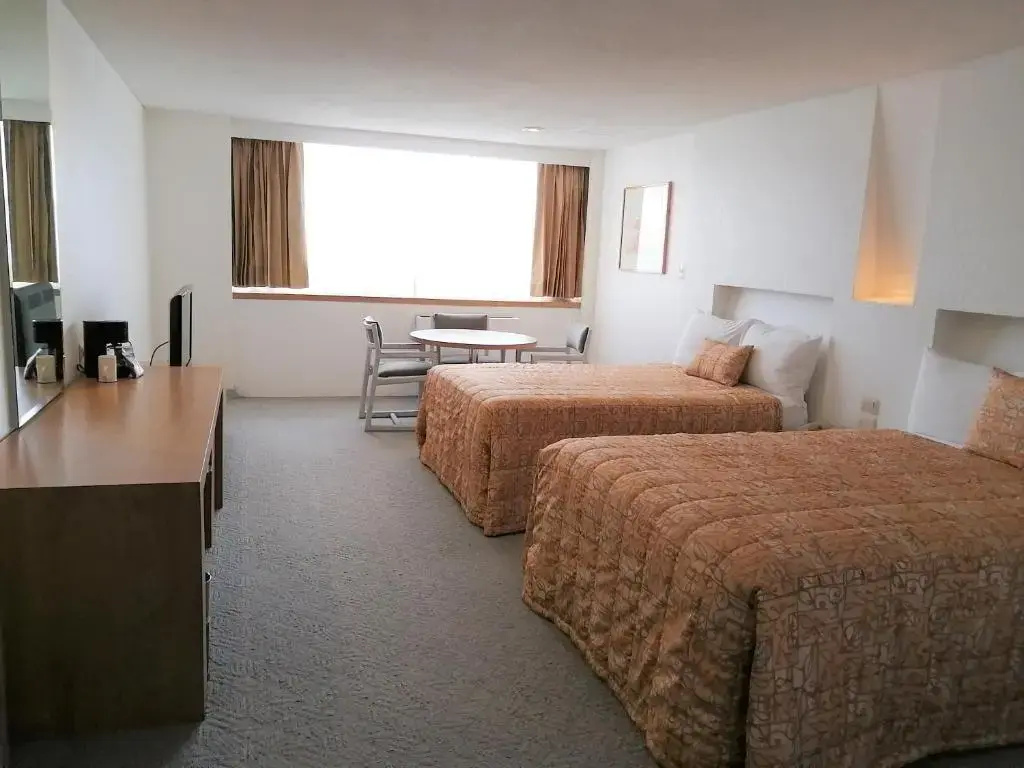 Standard Double room (twin beds)