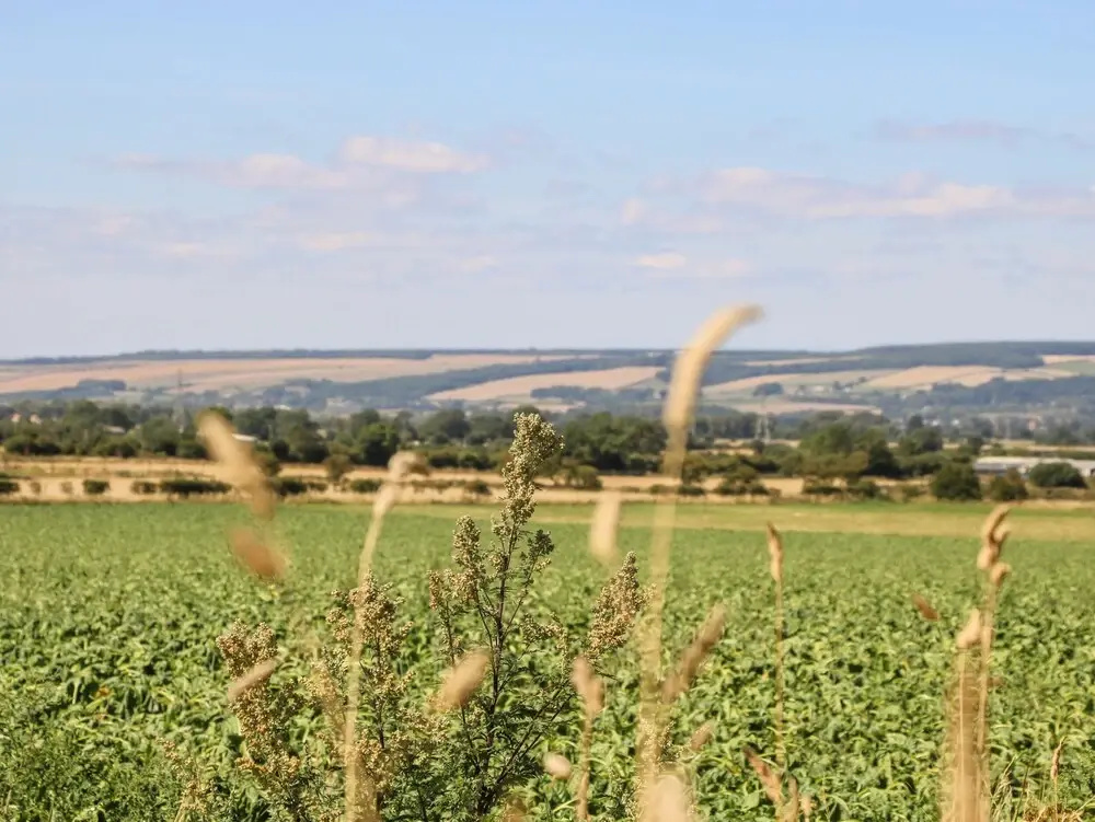 Silverdale View