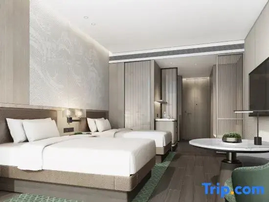 Standard Double room with city view (twin beds)