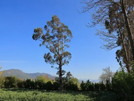 Lijiang Shanshui Tan Homestay