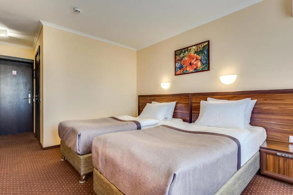 Superior Double room (twin beds)