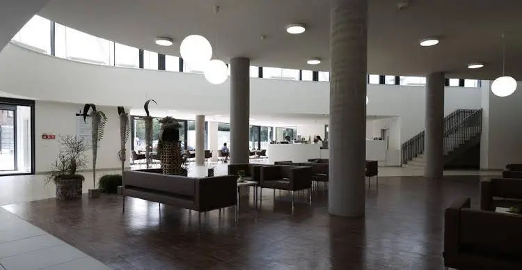 Lobby & Reception