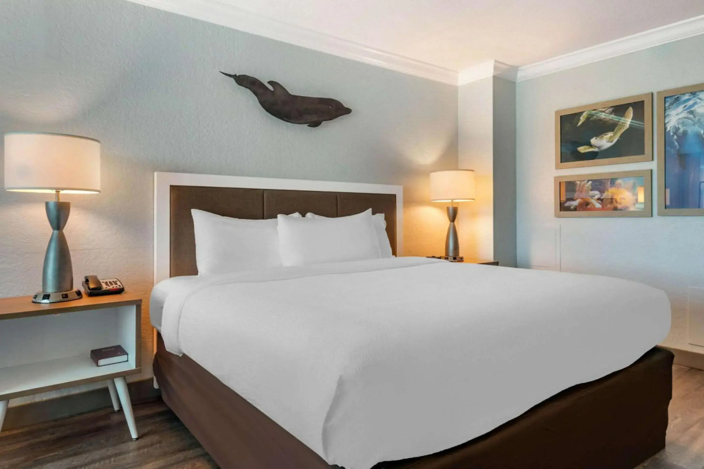 Dolphin Sands Clearwater Beach, an Ascend Collection Hotel - Général