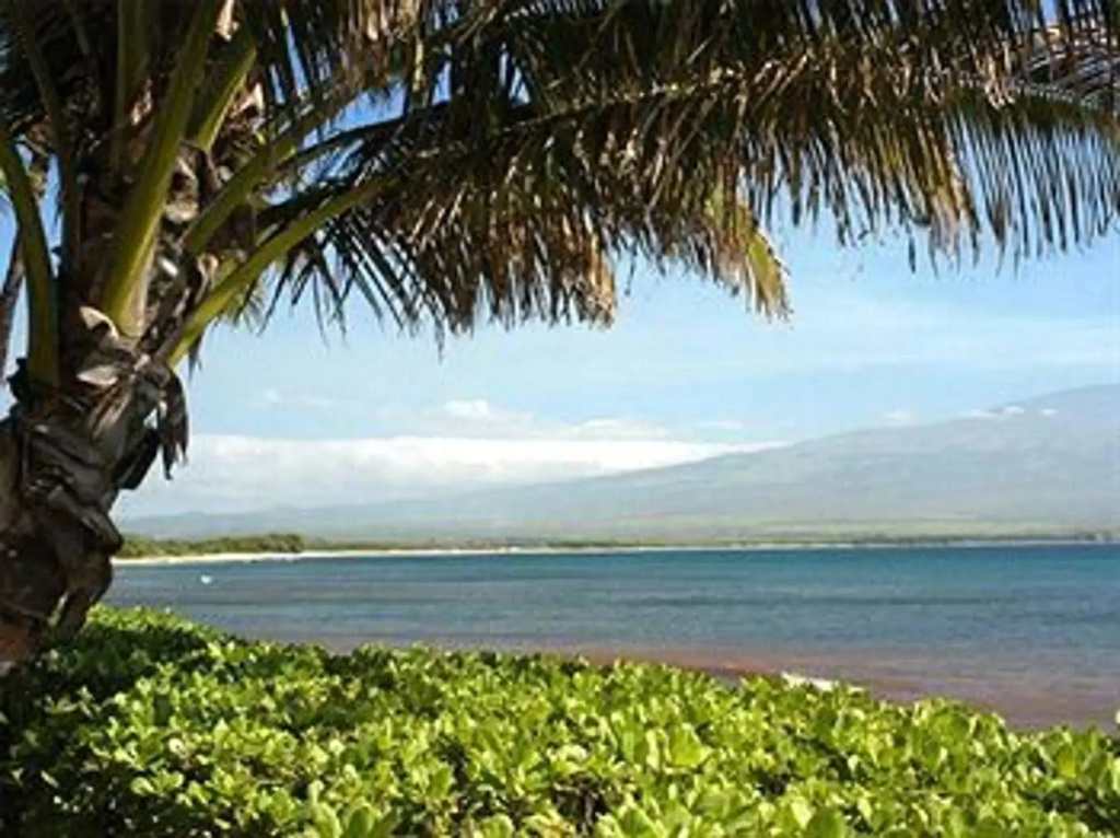 Island Sands by CRH - Général