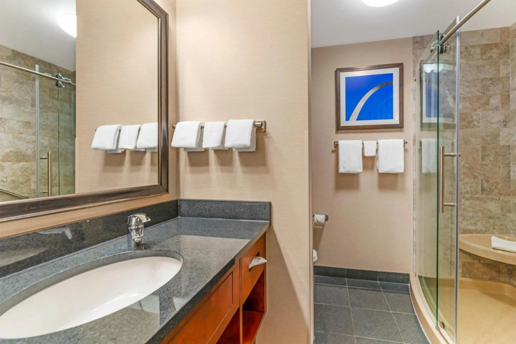 Drury Plaza Hotel St. Louis Brentwood - Général