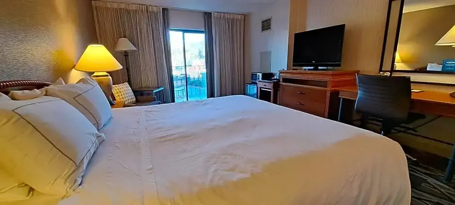 DoubleTree by Hilton Durango - Chambres