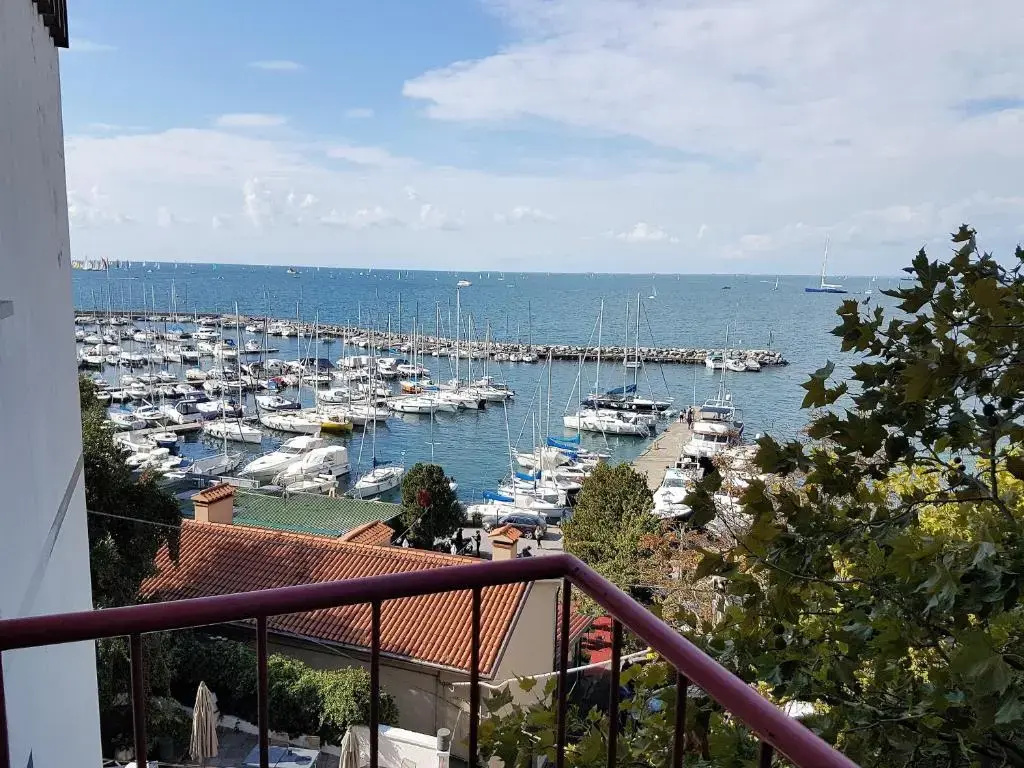 Standard room with balcony and with sea view