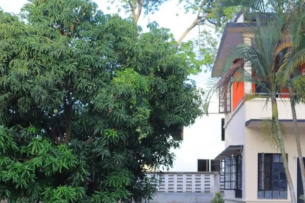 Mango Village - Hostel