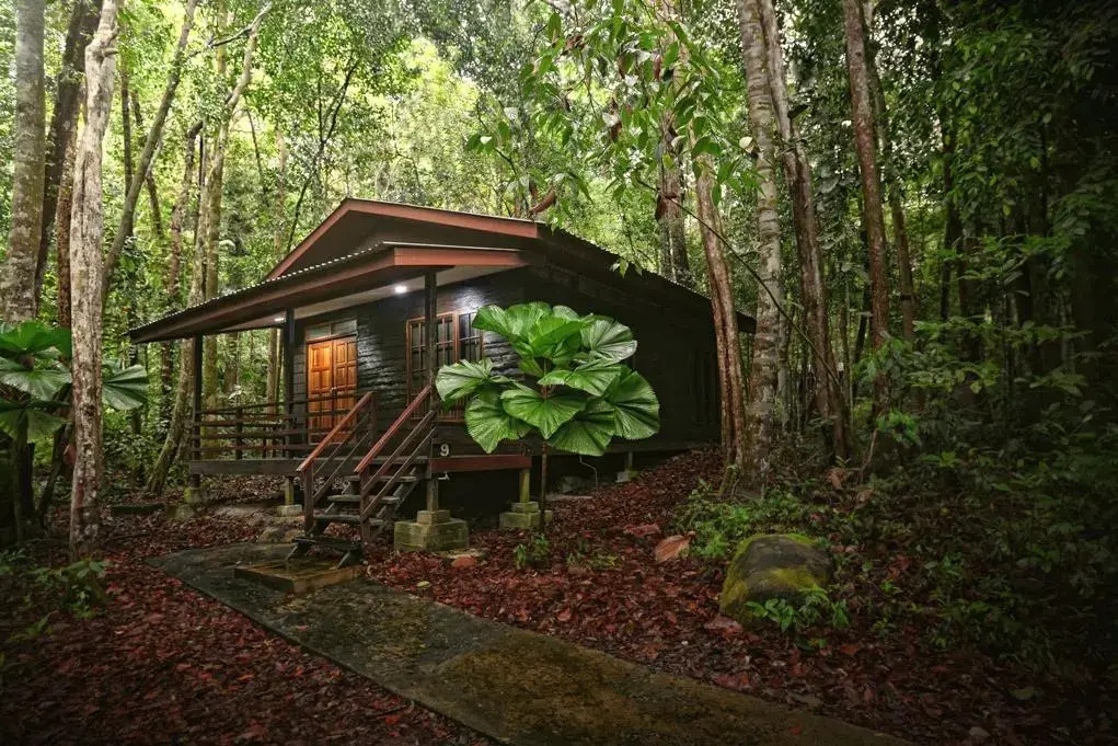 Permai Rainforest Resort