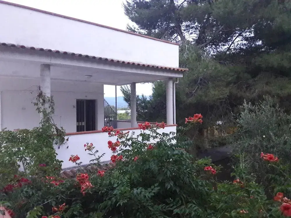 Bungalow