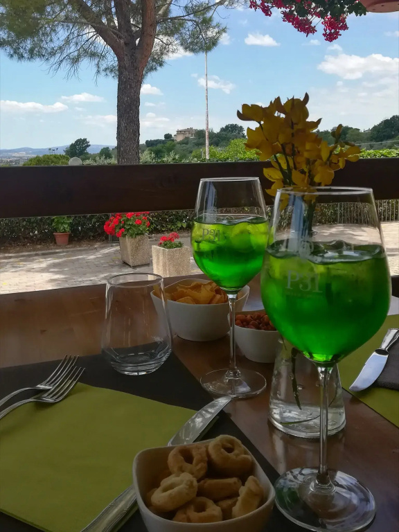Viole Country Hotel - Général