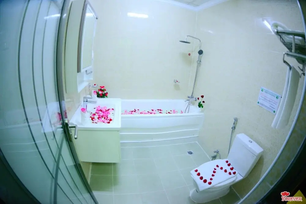 Vega Star Hotel - Général