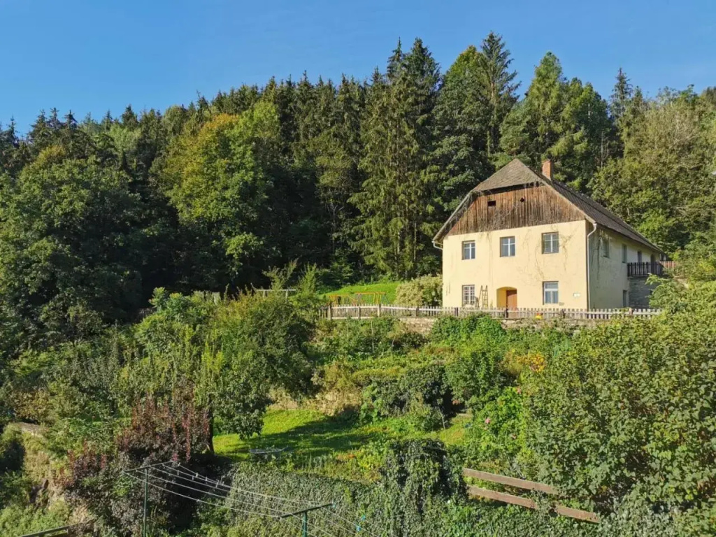 Pension Seebichlhof - Général