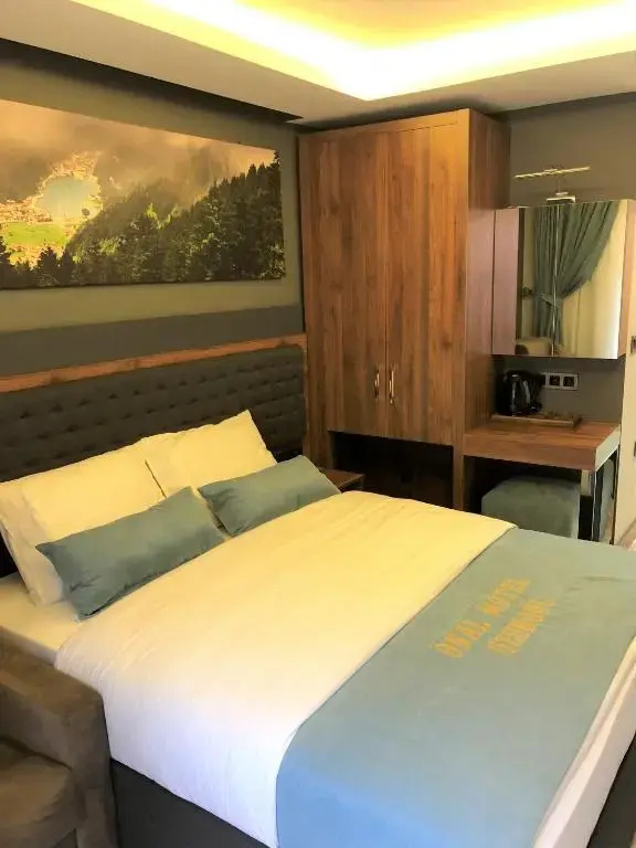 Standard Double room with mountain view (full double bed)