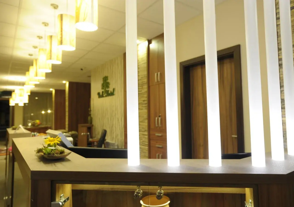 Park Hotel Gyula - Général