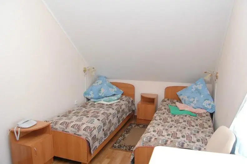 Standard Double Attic room (twin beds)