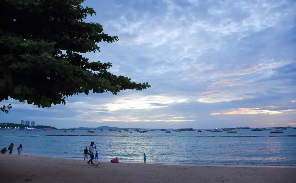 Basaya Beach Hotel & Resort - Général