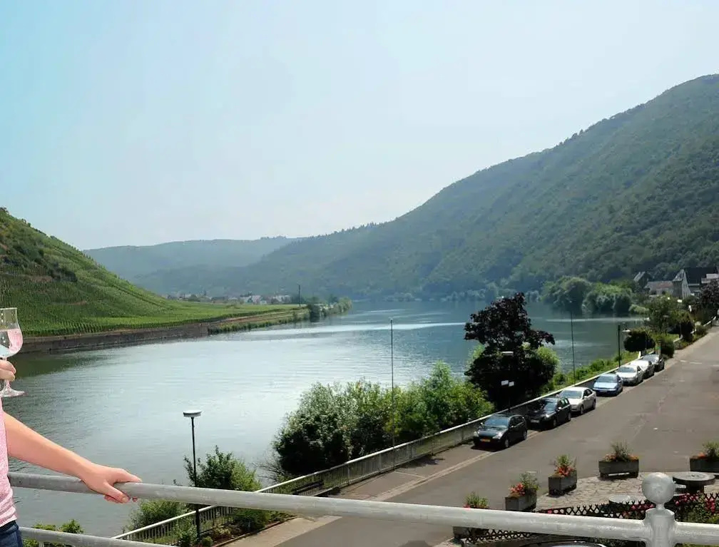 Winzerhotel zum Moselstrand - Général