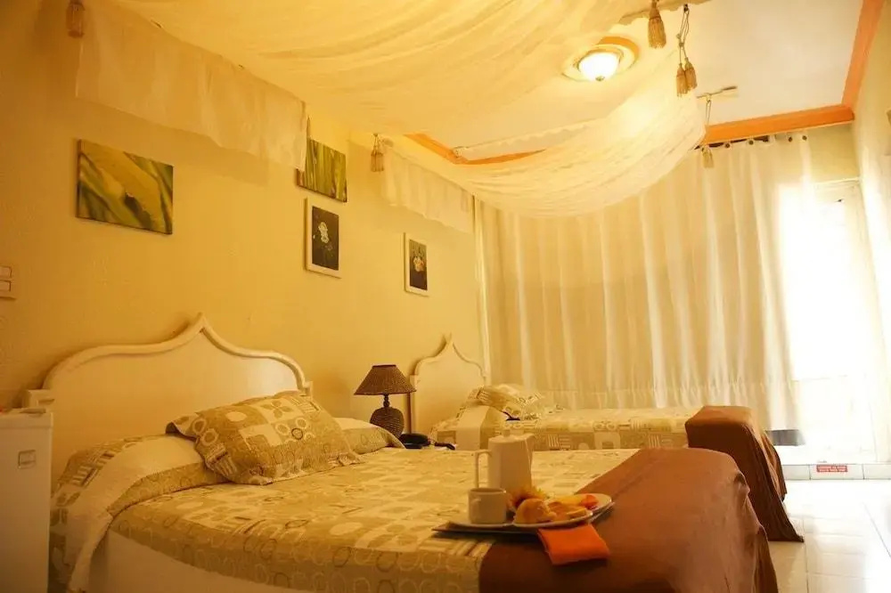 San Andres Noble House Hotel - Général