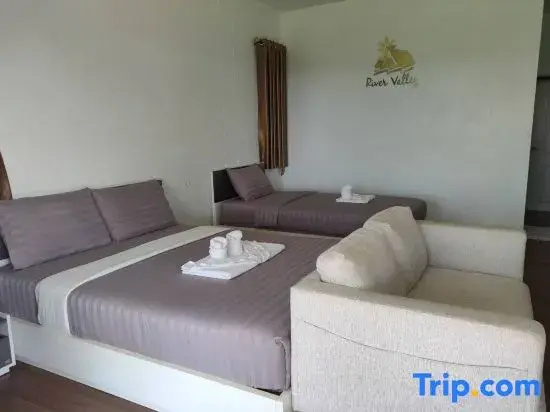 Superior Double room (twin beds)