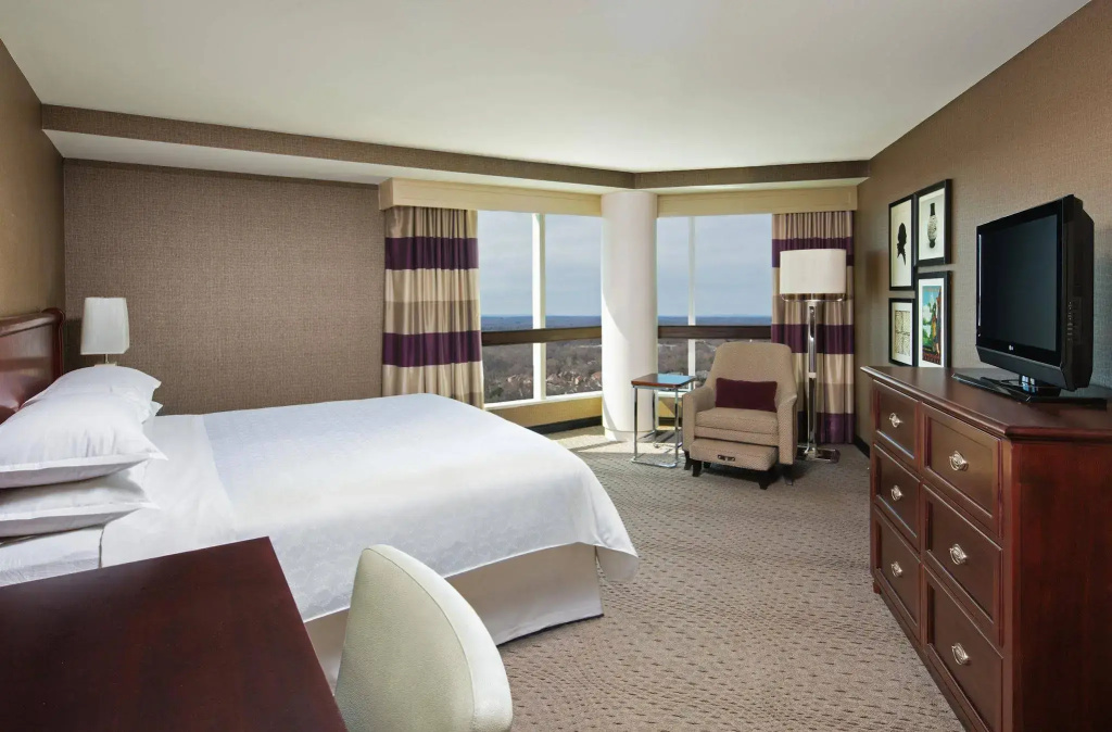 Sheraton Tysons Hotel - Général