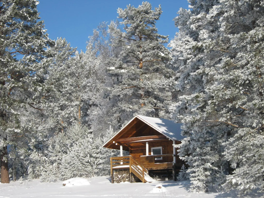 Standard Bungalow