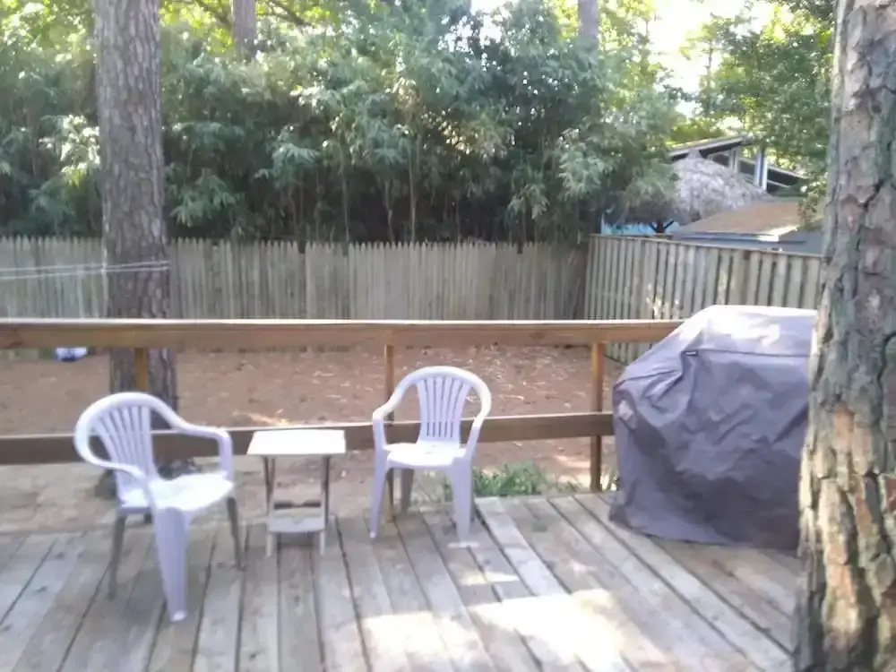 Carolina Street 204