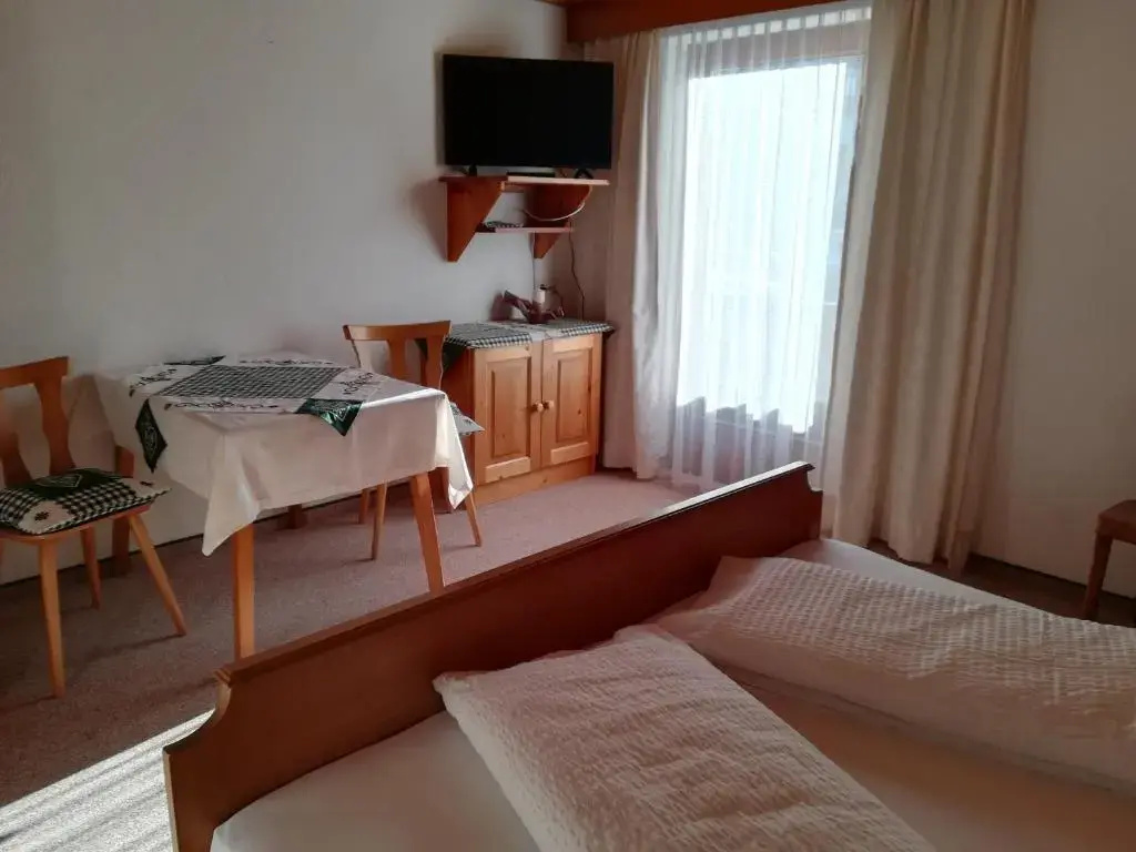 Standard Double room with mountain view (full double bed)