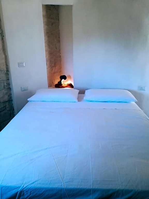 Il nido del Gheppio