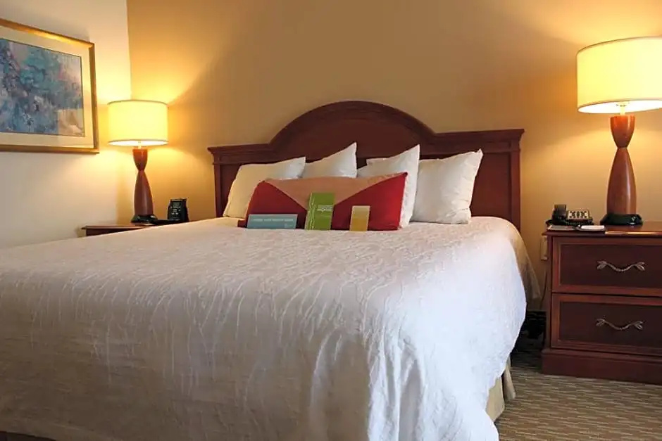 Hilton Garden Inn Charlotte Pineville - Chambres