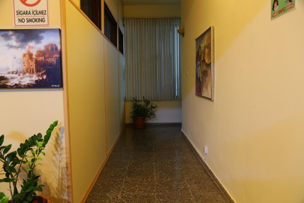Image 8