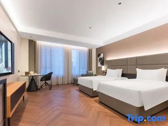 Executive Double room (twin beds)