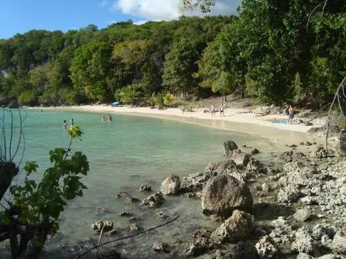 Beach & Waterfront